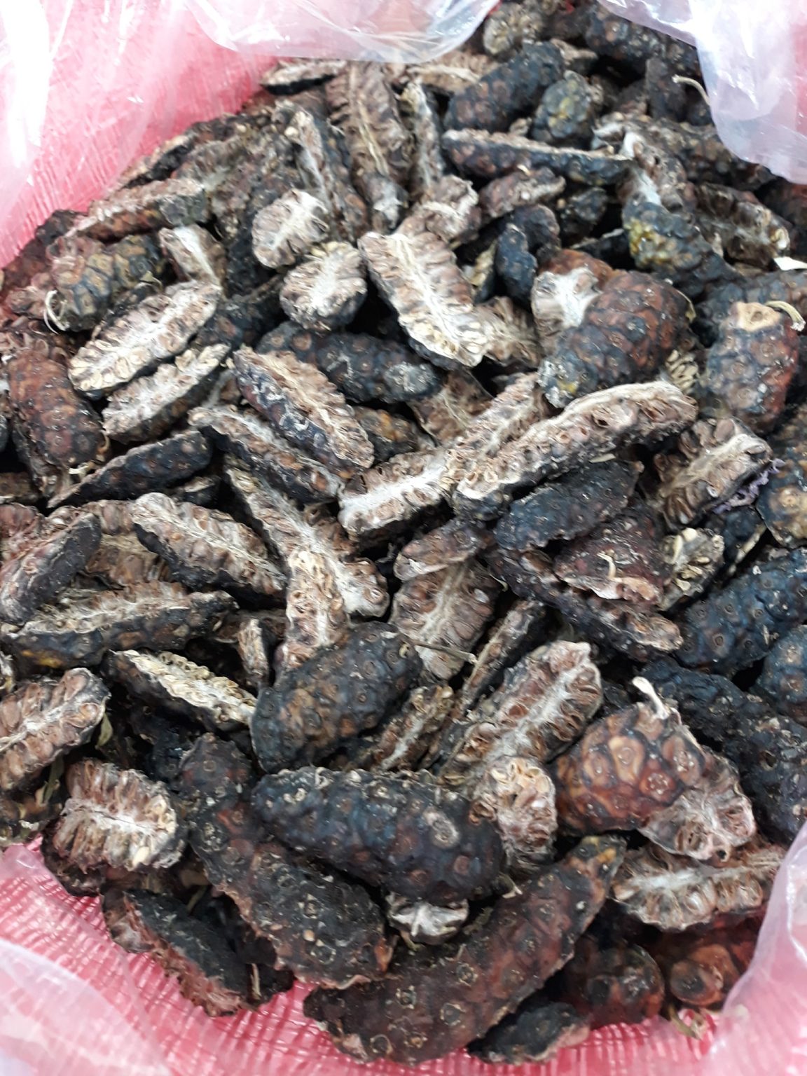 DRIED NONI FRUIT GIA GIA NGUYEN COMPANY LIMITED